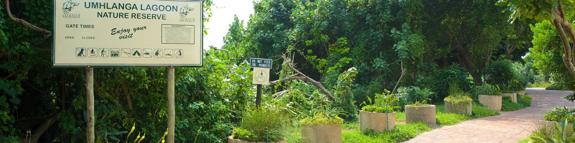 Umhlanga Lagoon Nature Trail