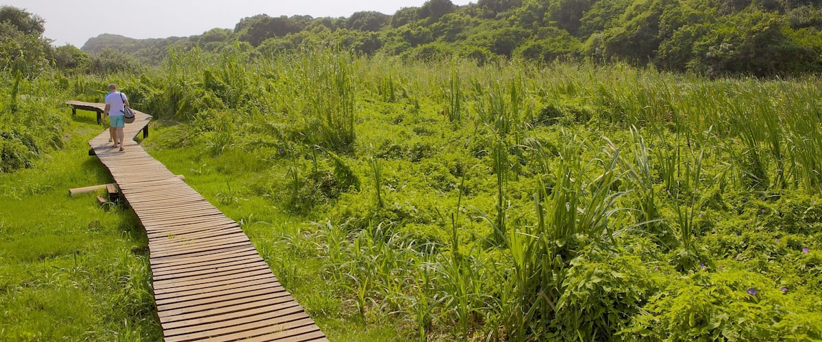 Reserva natural Umhlanga Lagoon Nature Trail mostrando un parque, vistas panorámicas y senderismo o caminatas