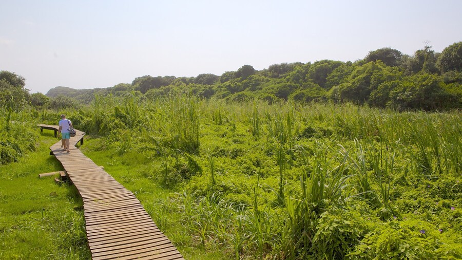 Umhlanga Lagoon Nature Trail featuring landscape views, a park and forests