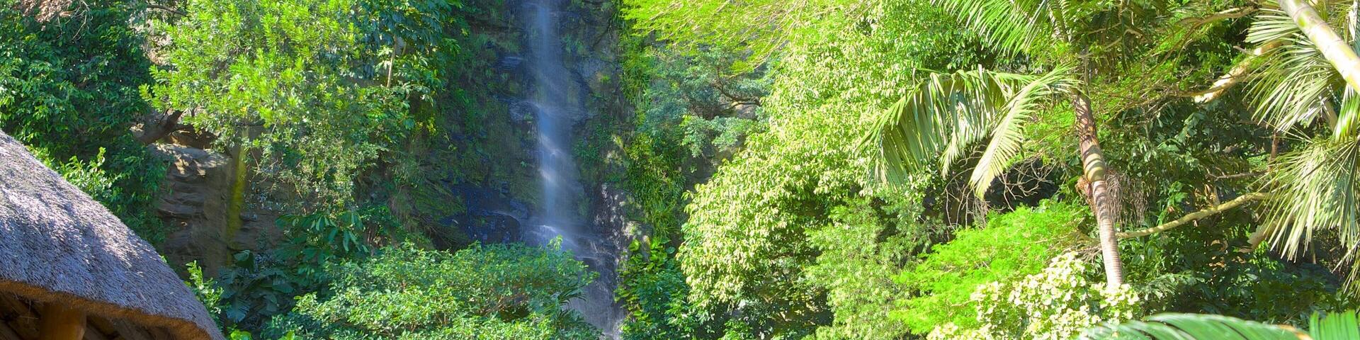 Umgeni River Bird Park mettant en vedette parc et chute d\'eau