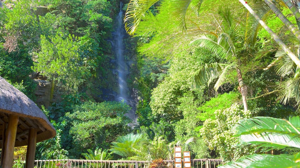 A lush tropical garden with a waterfall, dense foliage, and a thatched-roof structure.