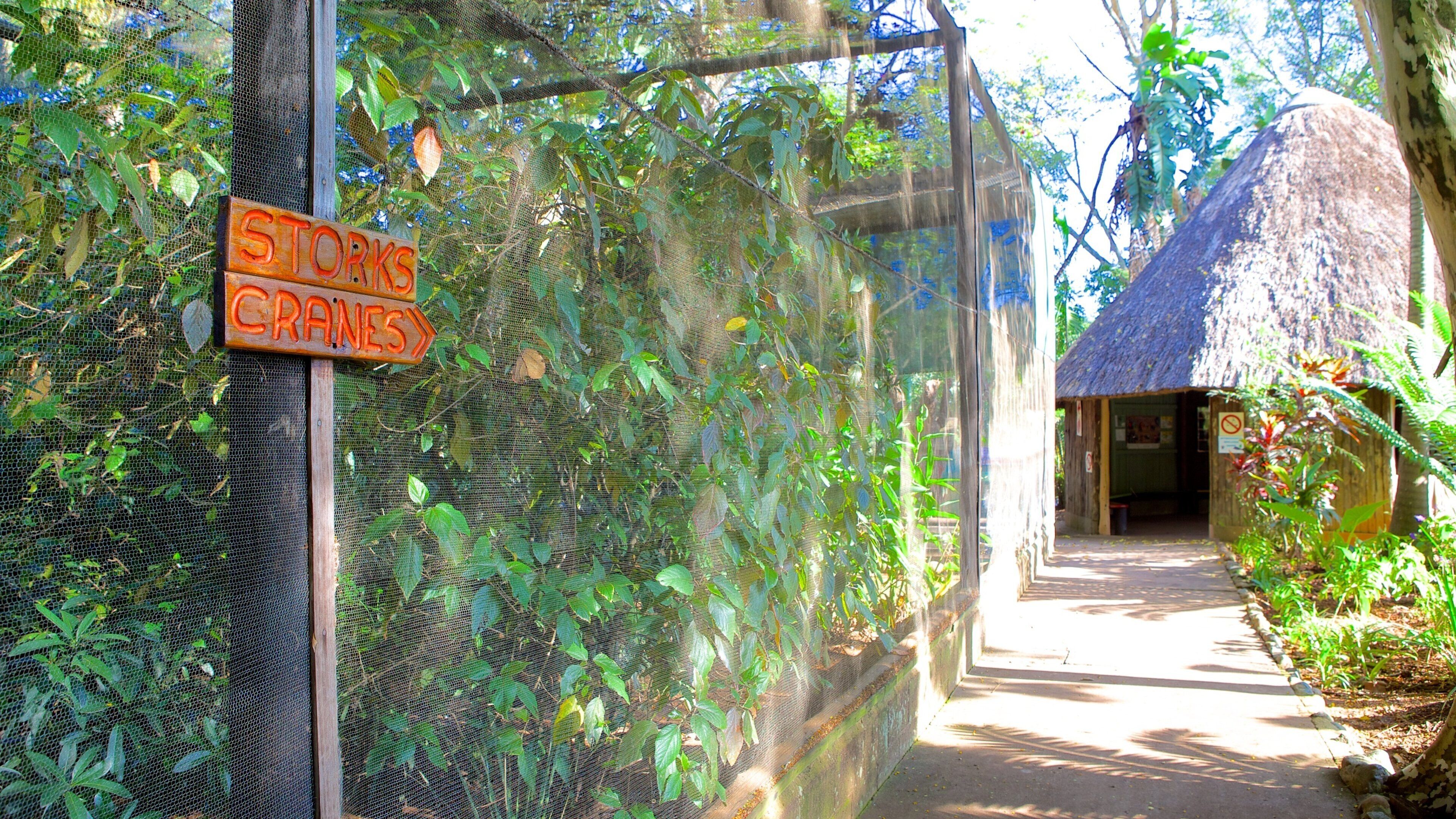 Umgeni River Bird Park qui includes signalisation et jardin
