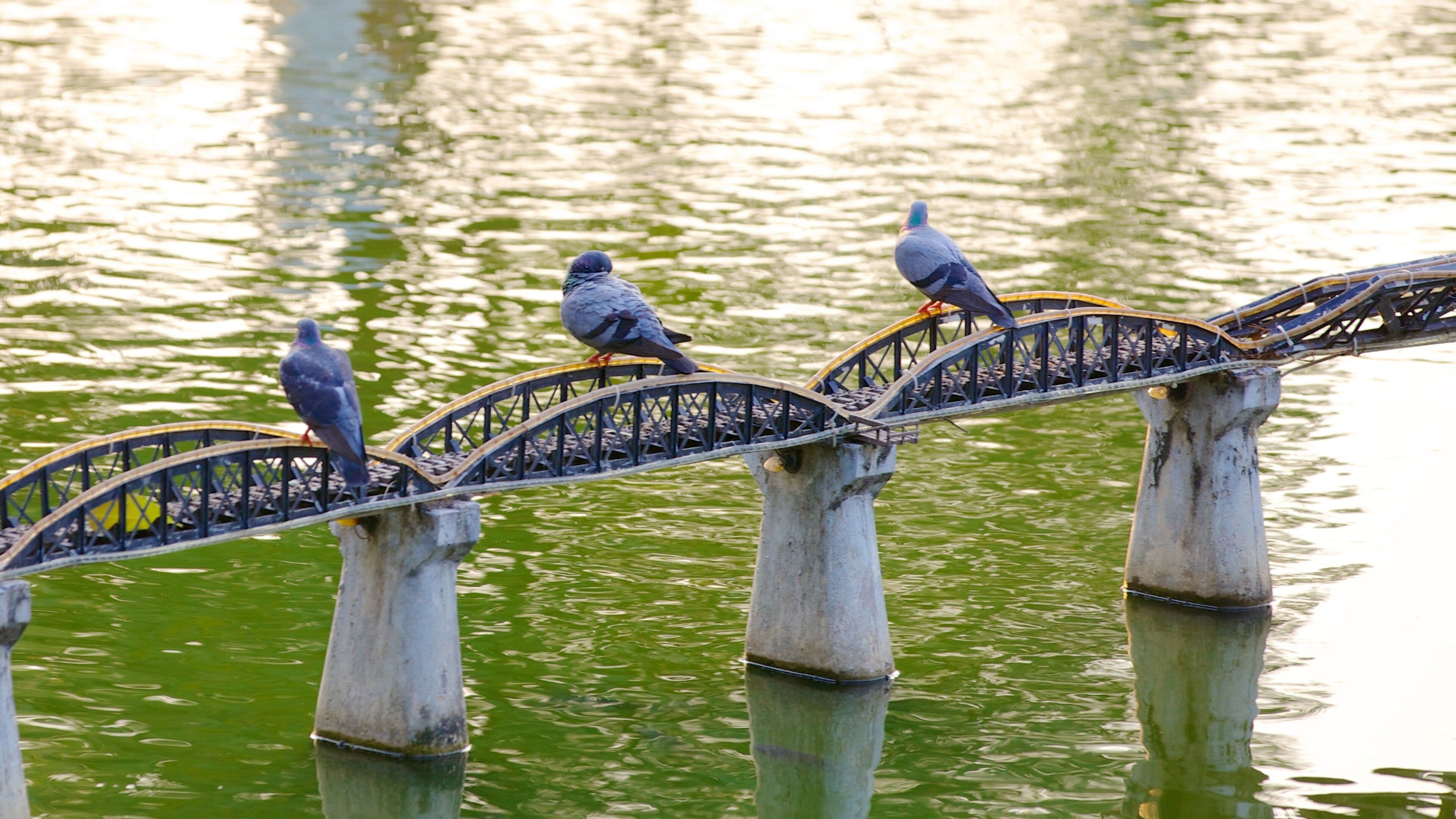 Mini Siam featuring a lake or waterhole
