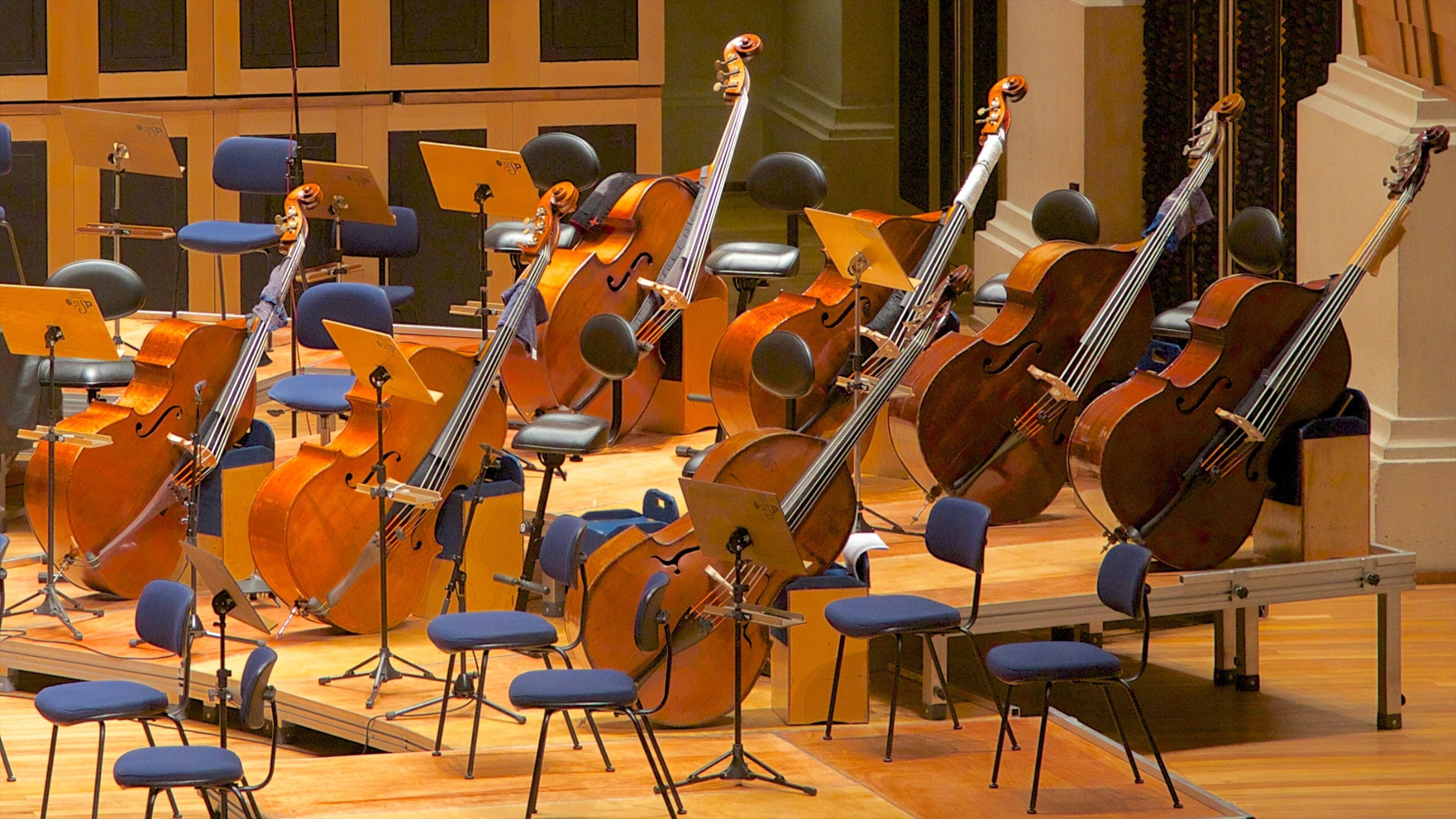 Sala São Paulo Concert Hall featuring interior views and music