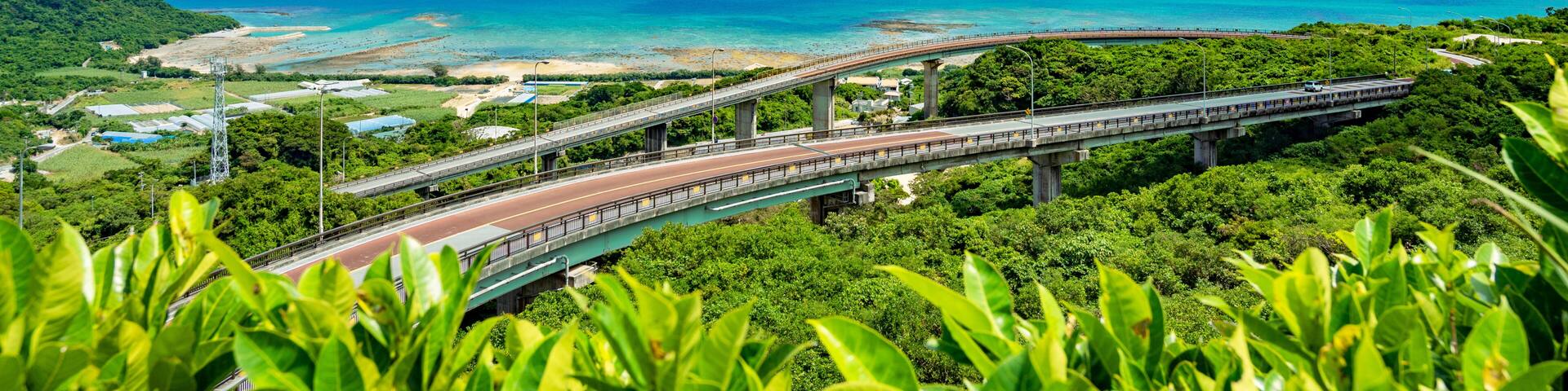 A coastal highway with a bridge over the water, surrounded by greenery and clear skies.