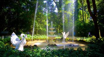 Bosque Jequitibas que incluye un jardín y una fuente
