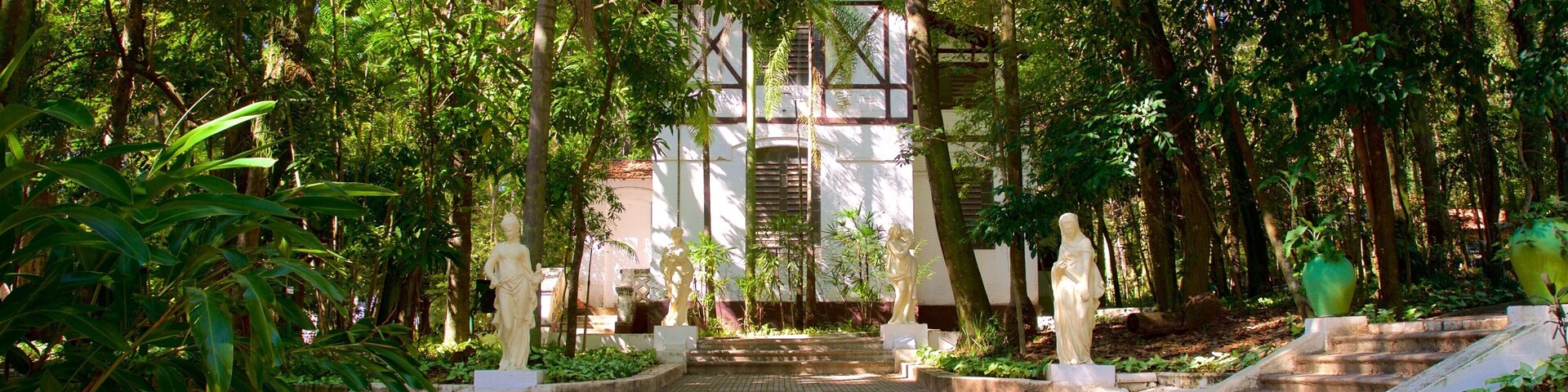 Bosque Jequitibas que incluye una estatua o escultura y un parque