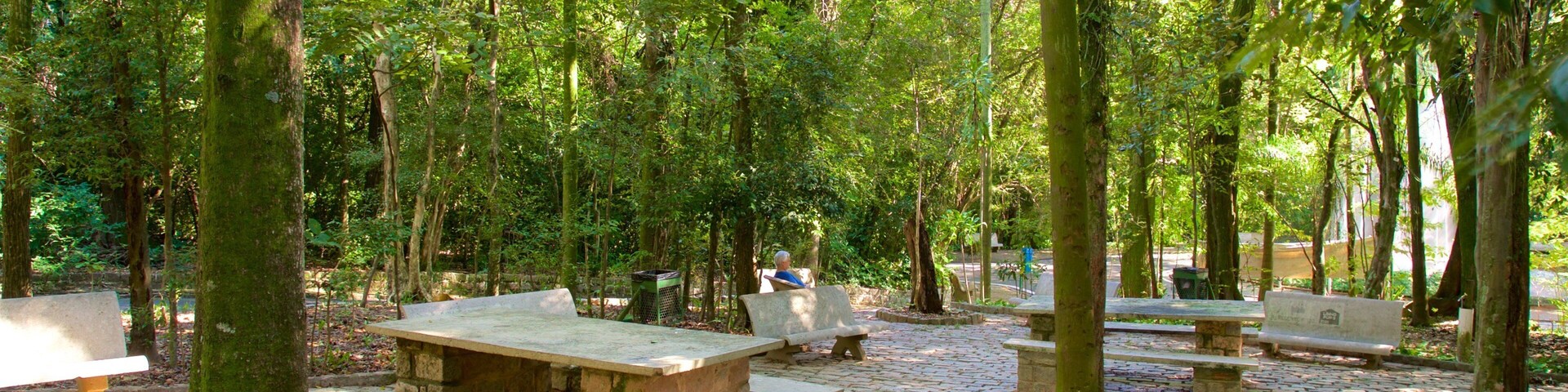 A park with stone benches and tables surrounded by trees.