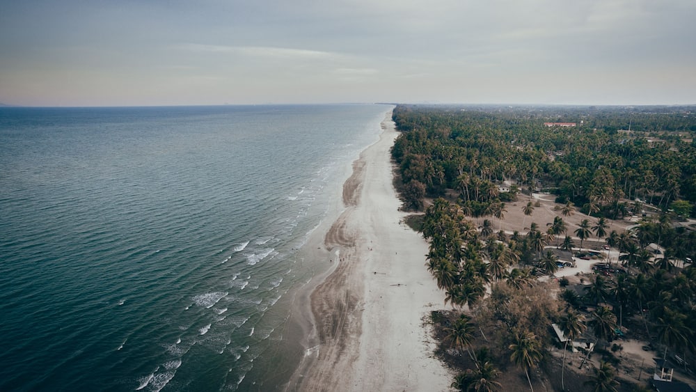 An aerial view of a beach with a long stretch of sand, palm trees, and a dense forested area.