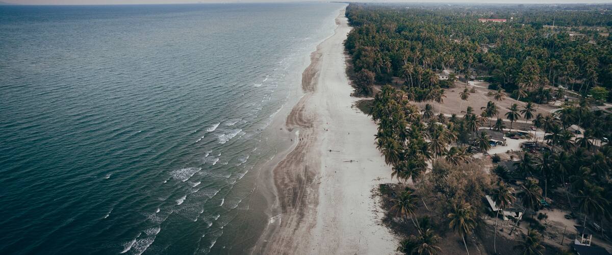 An aerial view of a beach with a long stretch of sand, palm trees, and a dense forested area.