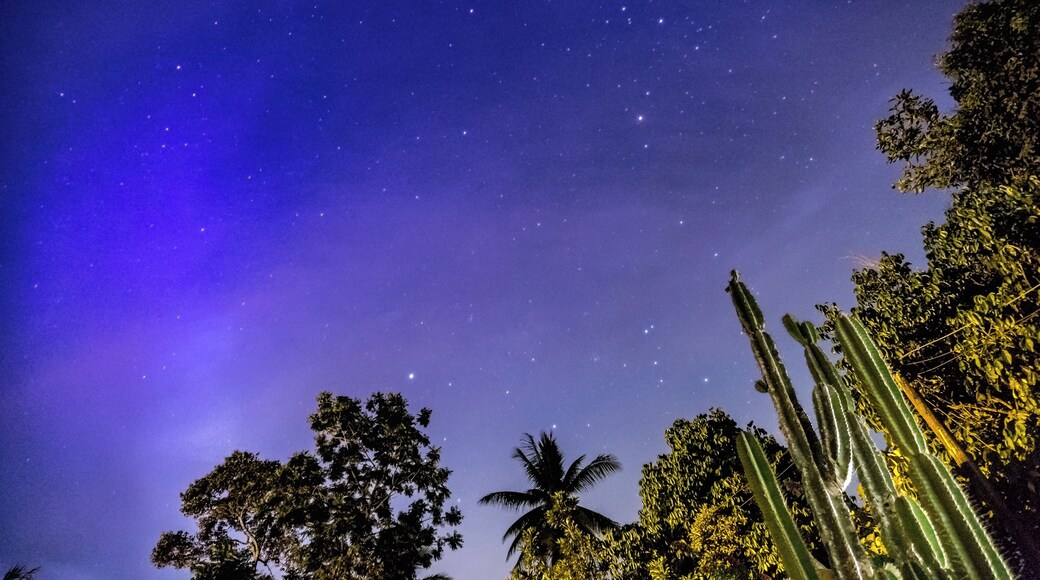 This is my first attempt on night photography / astrophotography in front of my house.