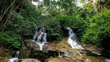 A great place to relax. Be careful with rat's or human pee. #LikeALocal