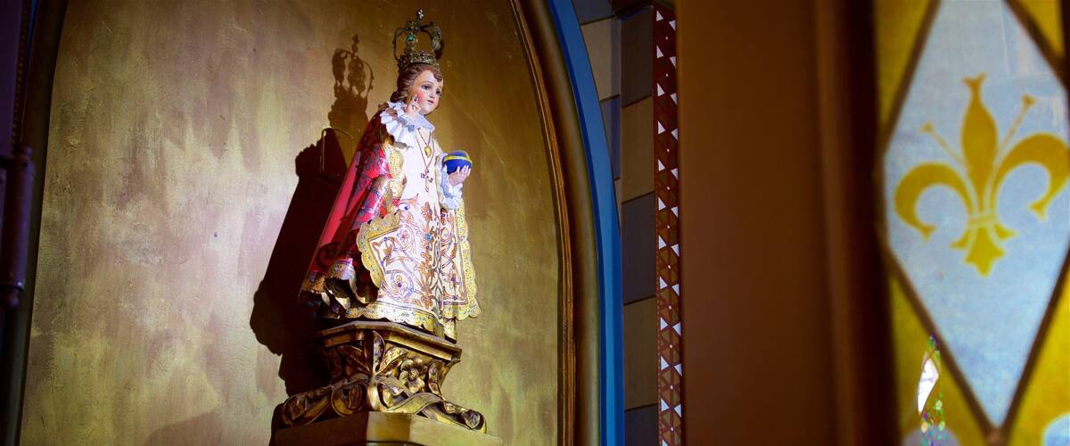 Basilica of Our Lady of Mount Carmel featuring interior views and heritage elements