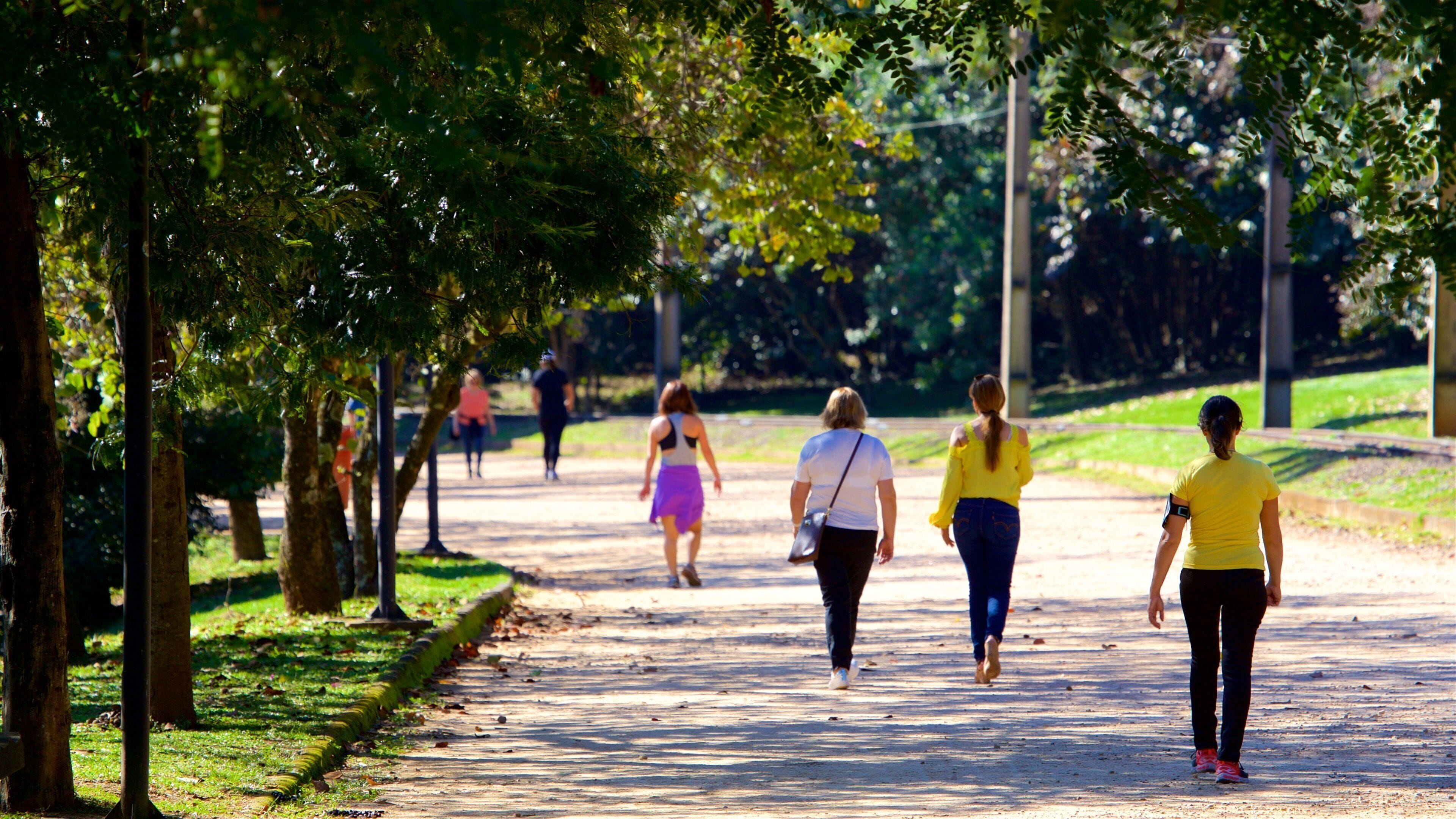 Portugal Park showing street scenes, a garden and hiking or walking