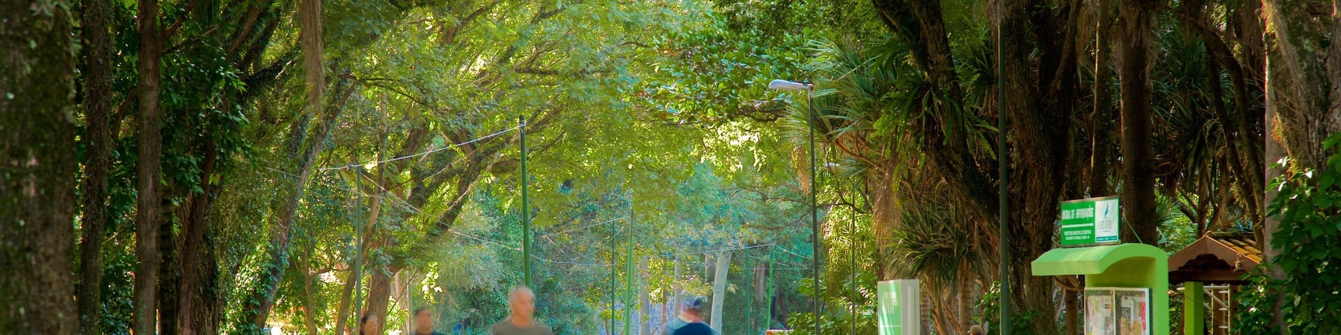 Portugal Park featuring a garden and hiking or walking as well as a small group of people