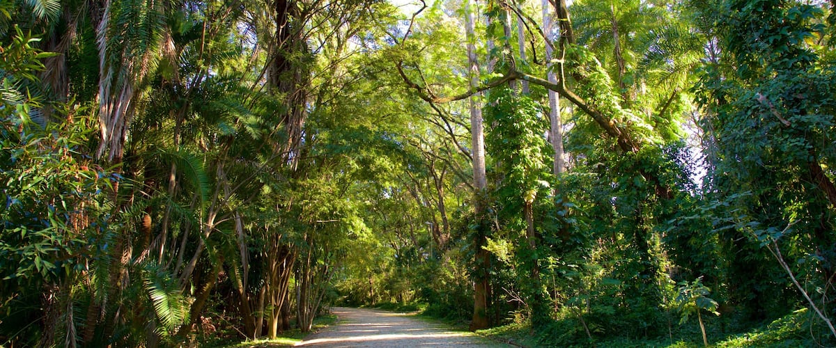 Portugal Park which includes a park