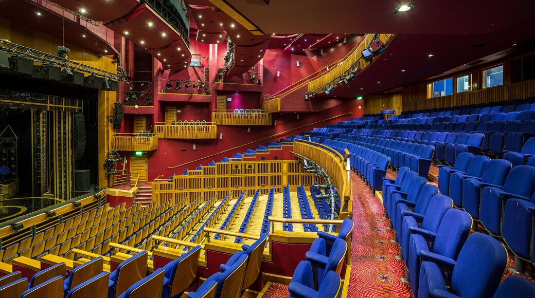 Millennium Forum showing theater scenes and interior views
