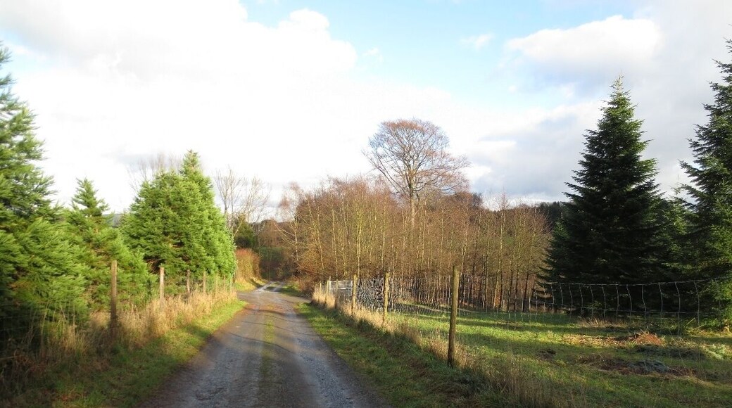 Looking down a dirt road in the village of Marialinden, Germany.