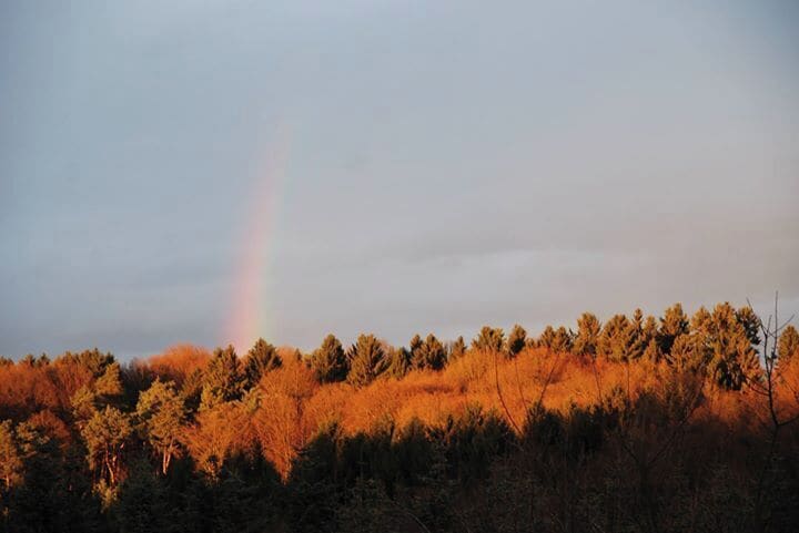 November day in Marialinden 