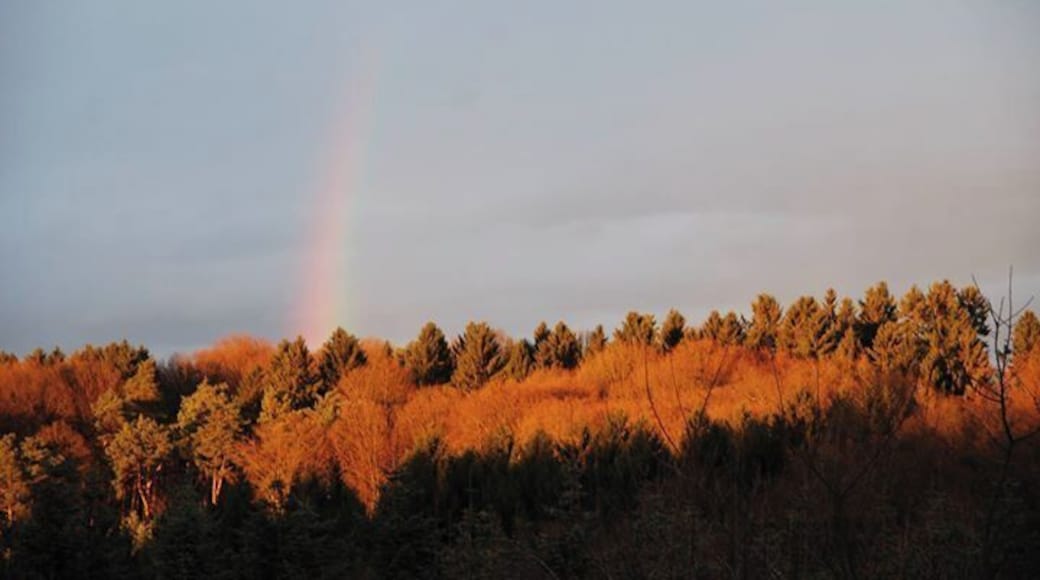 November day in Marialinden