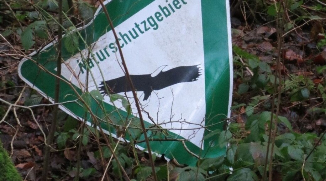 Sign on the ground.
Picture taken during my trip to Germany last month.
This was on the ground, alongside a nature trail, in a small village called Marialinden.