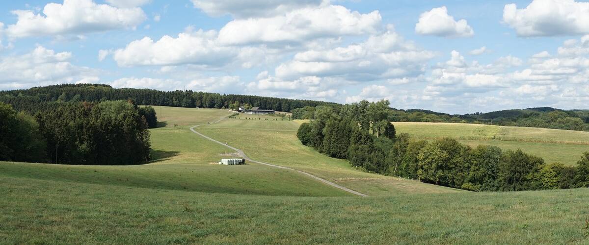 Rolling hills, a field, and a distant building.