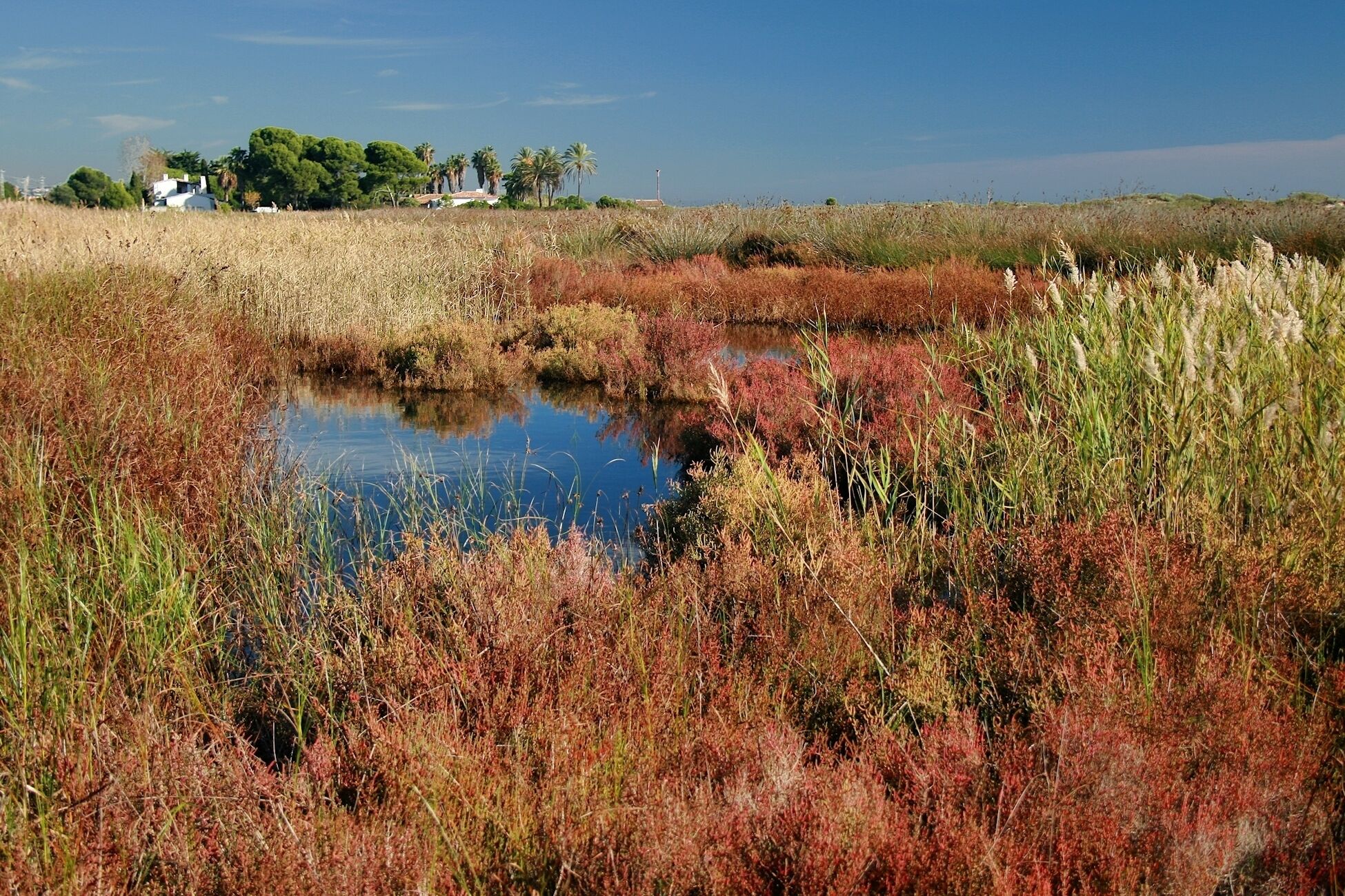 Torredembarra (Tarragona, Spain)