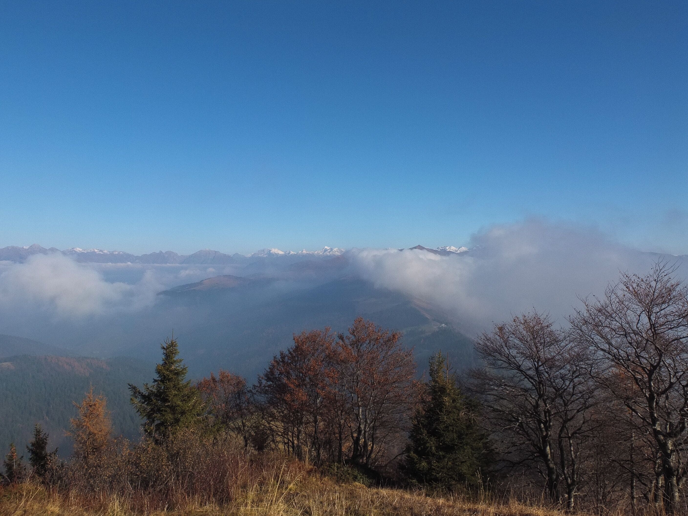 A mountain range with snow-capped peaks, a forested foreground, and a clear blue sky.