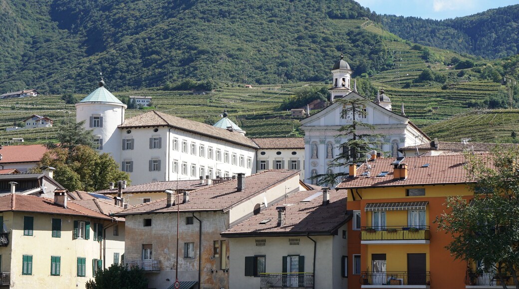 SAN MICHELE ALL'ADIGE - TRENTINO