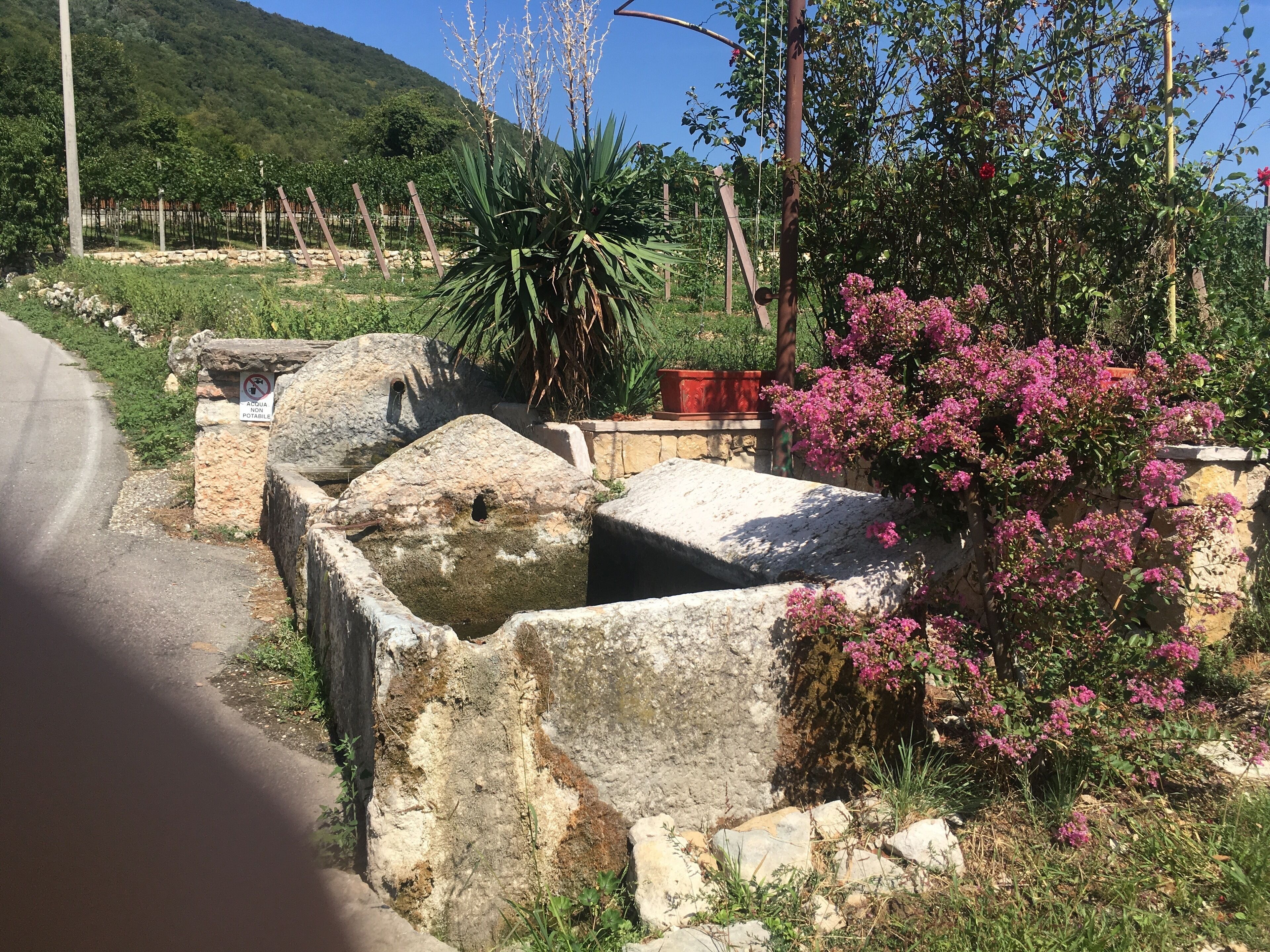 Rupiano Alcenago Fontana in Pietra