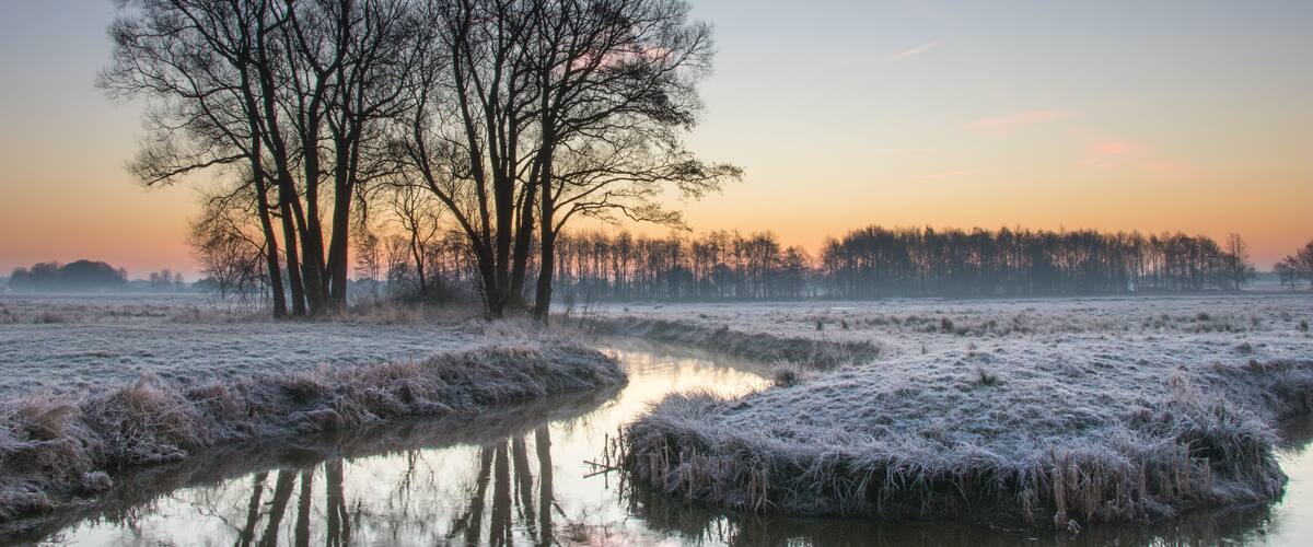 A frost-covered landscape with a reflective water body and leafless trees at sunrise.