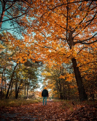 Beautiful Autumn walk in #MyBackyard