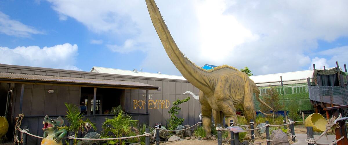 バタフライ クリーク