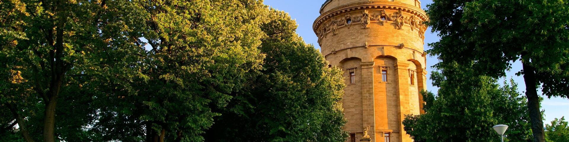 Mannheim Water Tower showing heritage architecture and a garden
