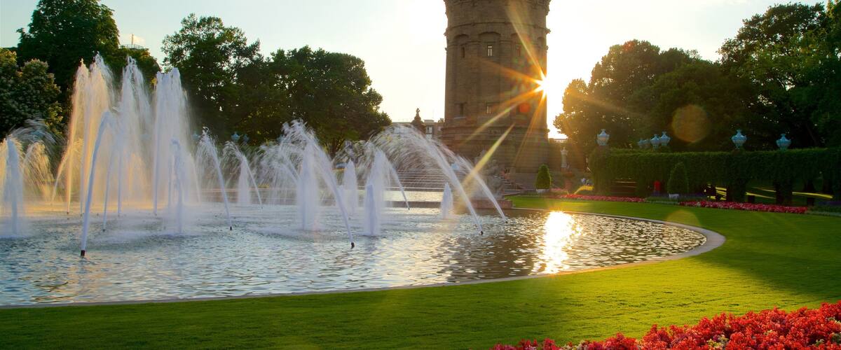 Mannheim Water Tower montrant fontaine, coucher de soleil et fleurs