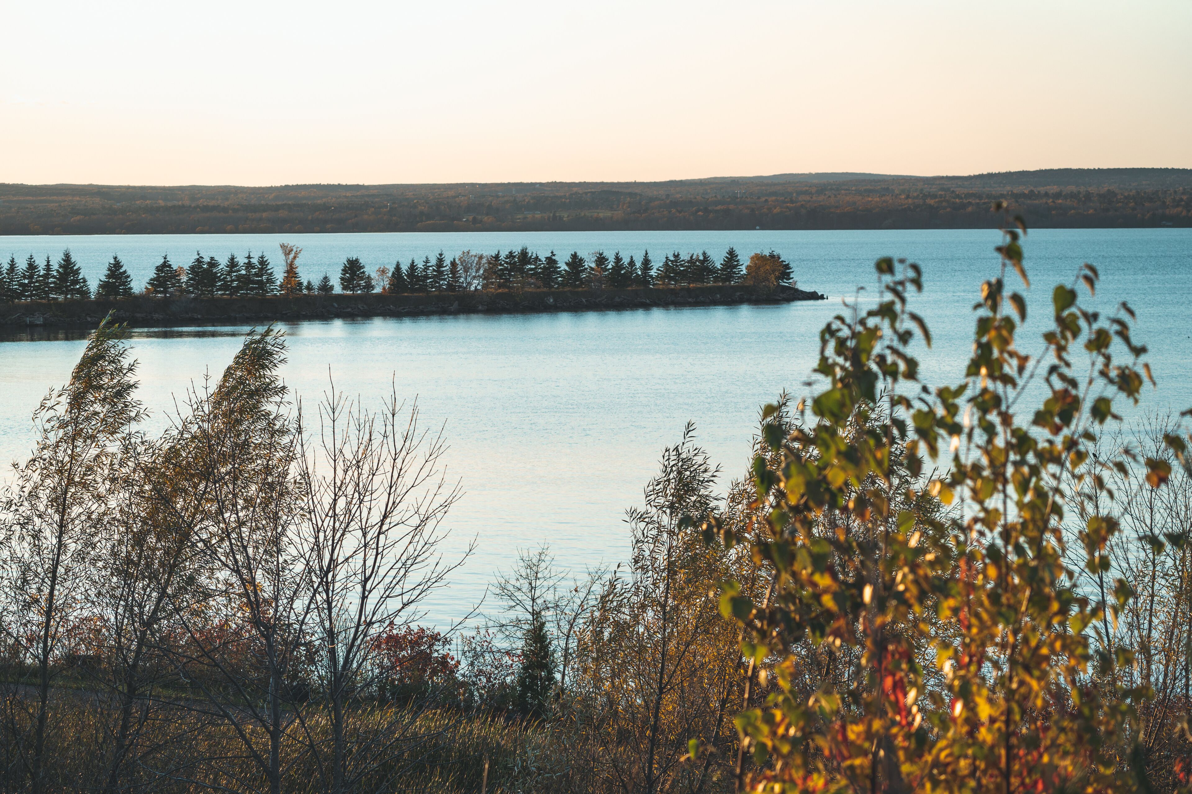 Trees growing on a sand bar in Lake Superior in Ashland Wisconsin. Taken at sunset in the fall