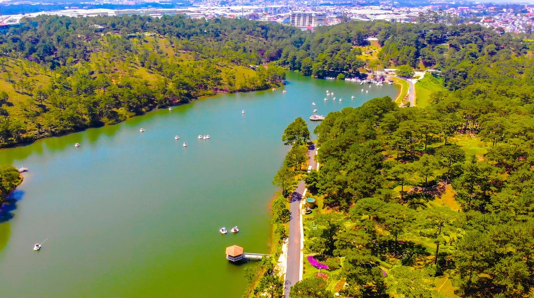Aerial view of Love Valley park in Dalat, Vietnam is one of the most romantic sites of Da Lat city, with many deep valleys and endless pine forests