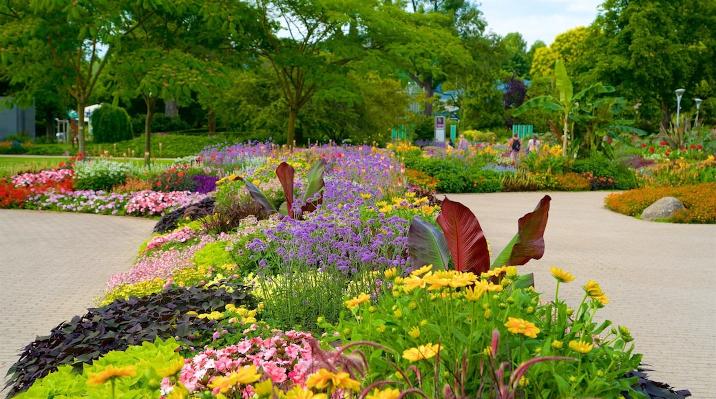 Luisenpark Gardens fasiliteter samt park og villblomster