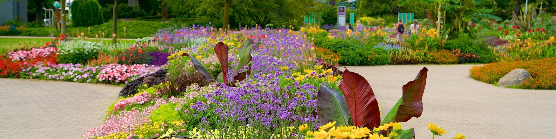 Luisenpark Gardens caracterizando flores silvestres e um parque