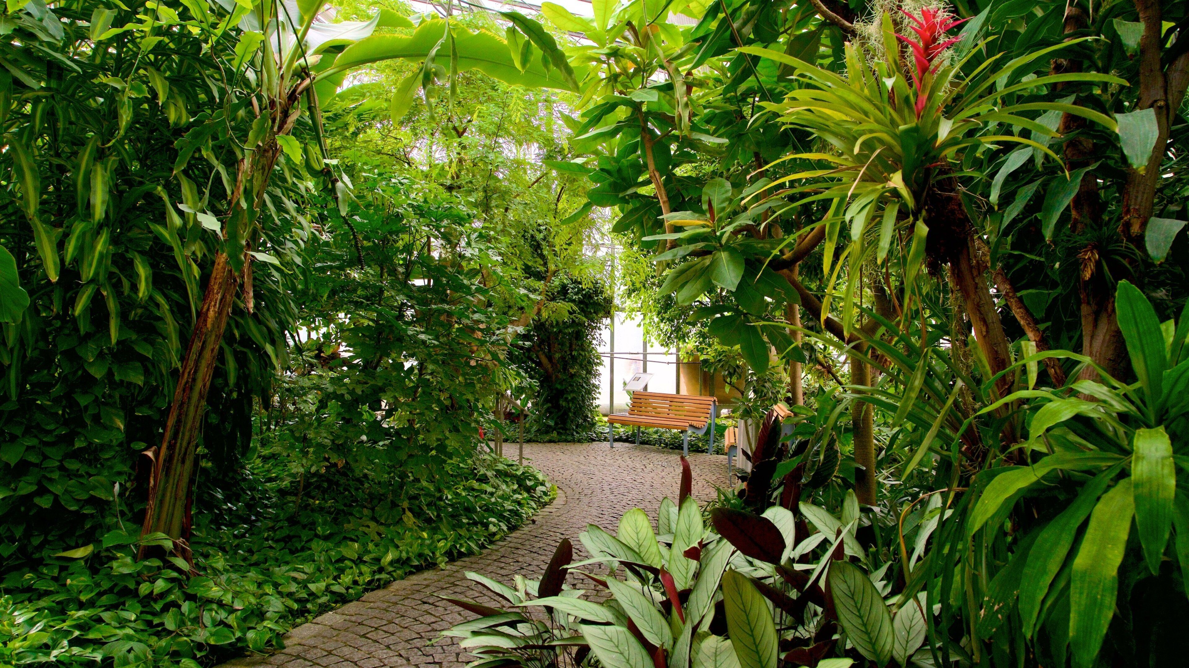 Luisenpark Gardens featuring a park