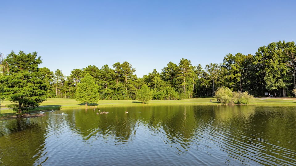 A calm lake surrounded by lush green trees and a clear blue sky.