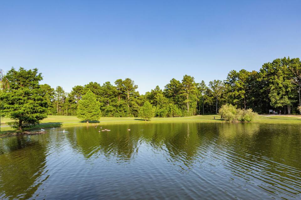 A calm lake surrounded by lush green trees and a clear blue sky.