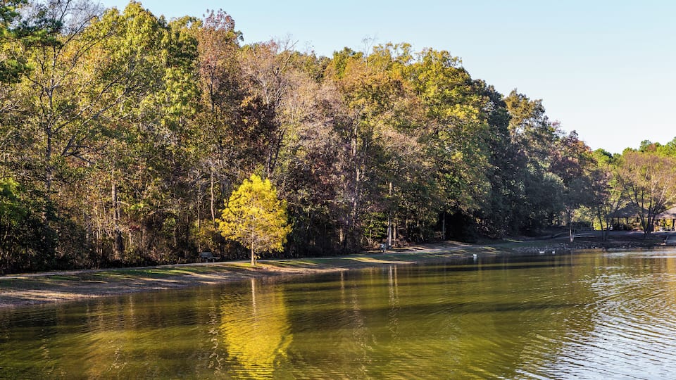 A calm lake surrounded by dense trees with autumn foliage.