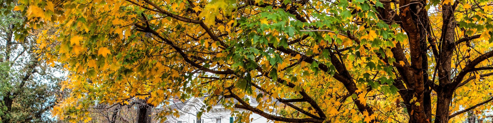 Hunter Dawson Home An antebellum mansion on an estate in New Madrid Missouri. Surrounded by fallen leaves in the fall setting.