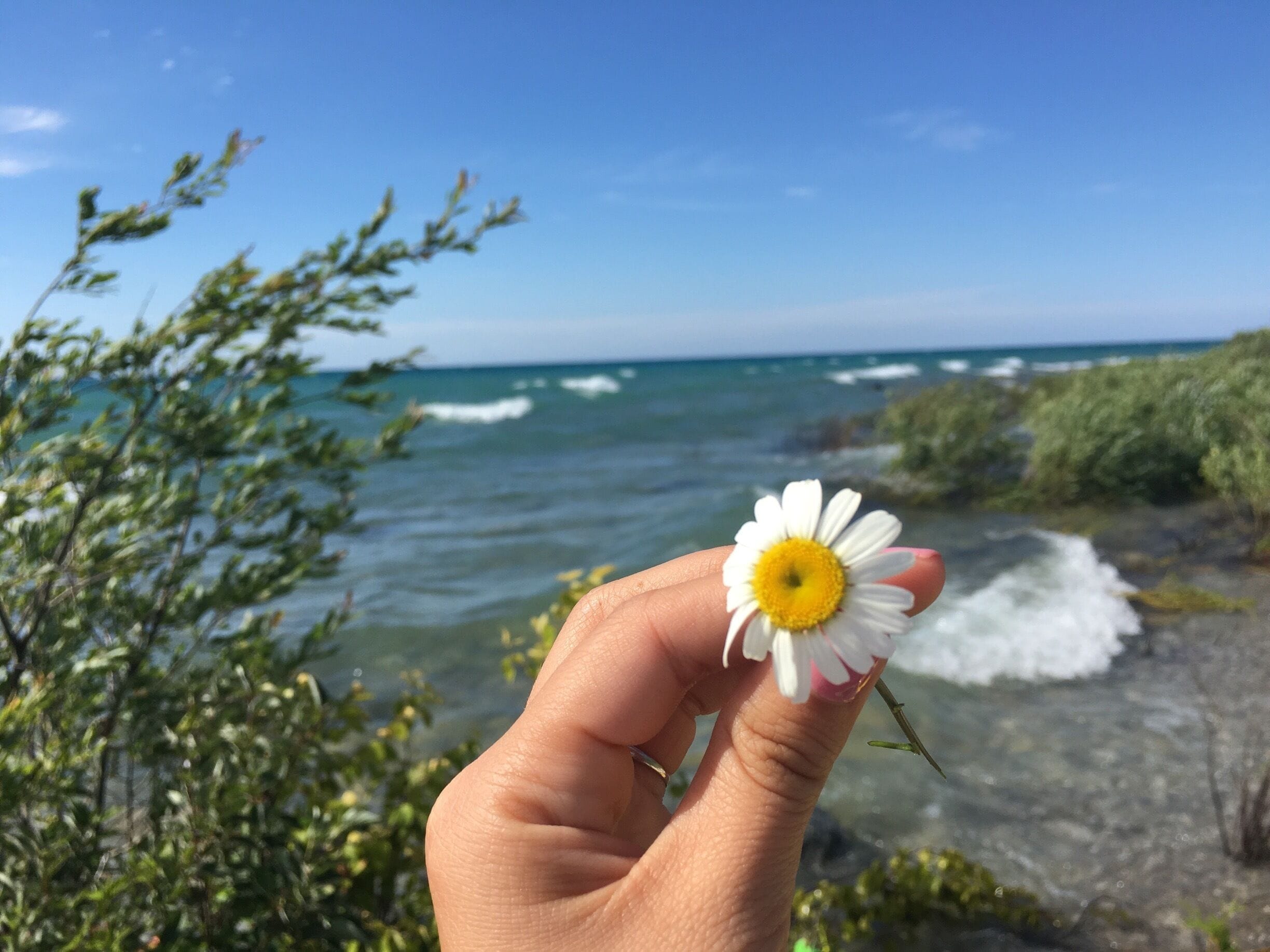 Summer days in pure Michigan.