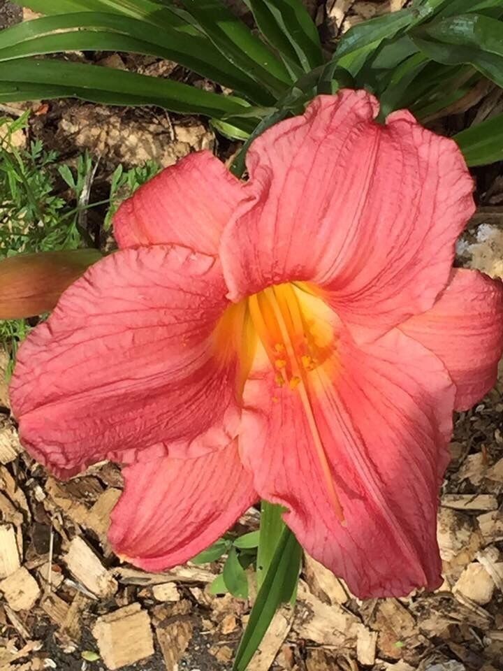 Great State Park in Michigan!!