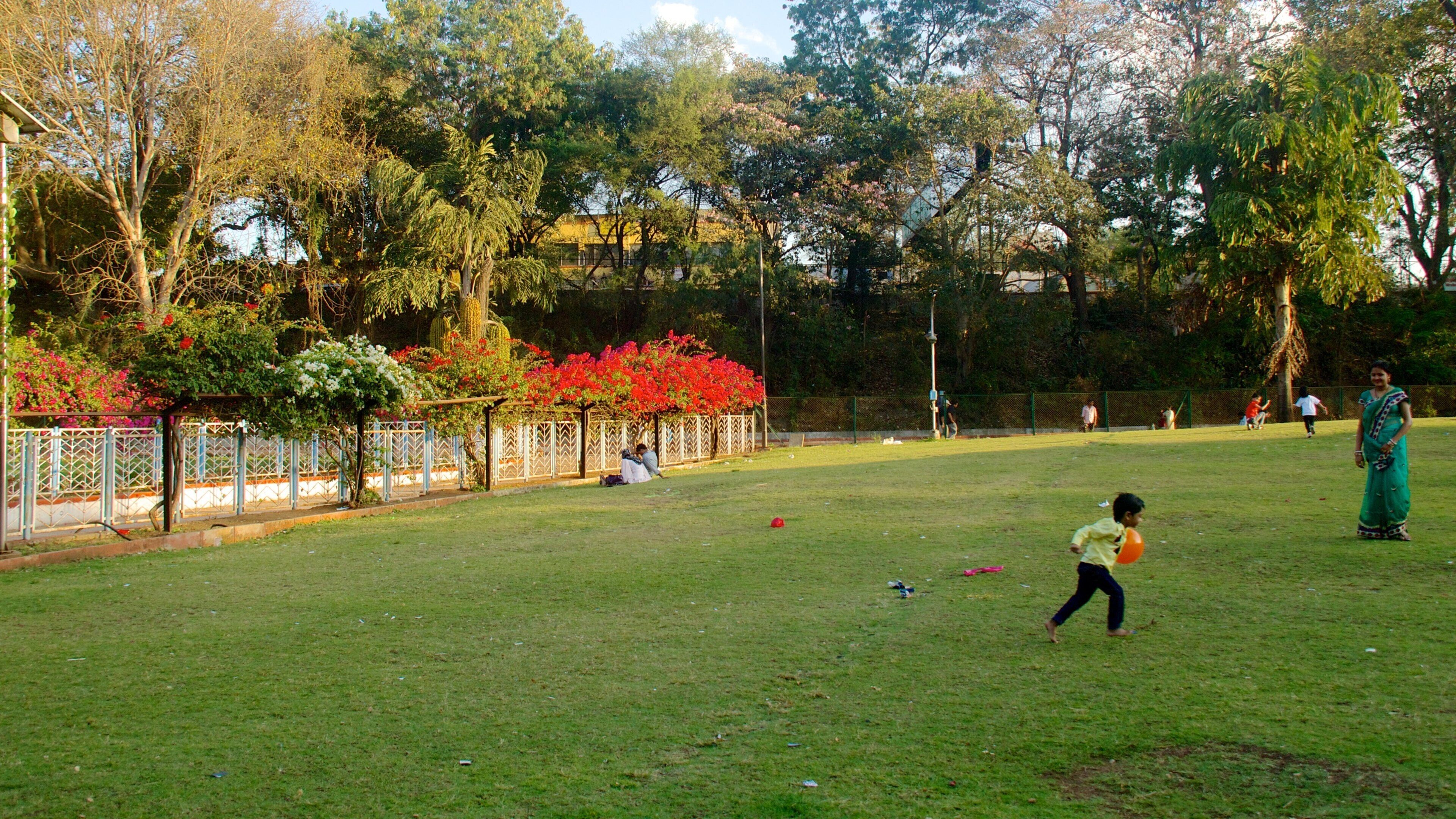 Saras Baug mostrando um parque assim como uma criança sozinha