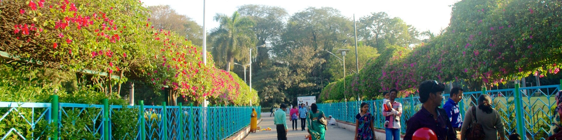 Un camino bordeado por vibrantes flores de buganvilla, una cerca de metal azul y gente caminando.