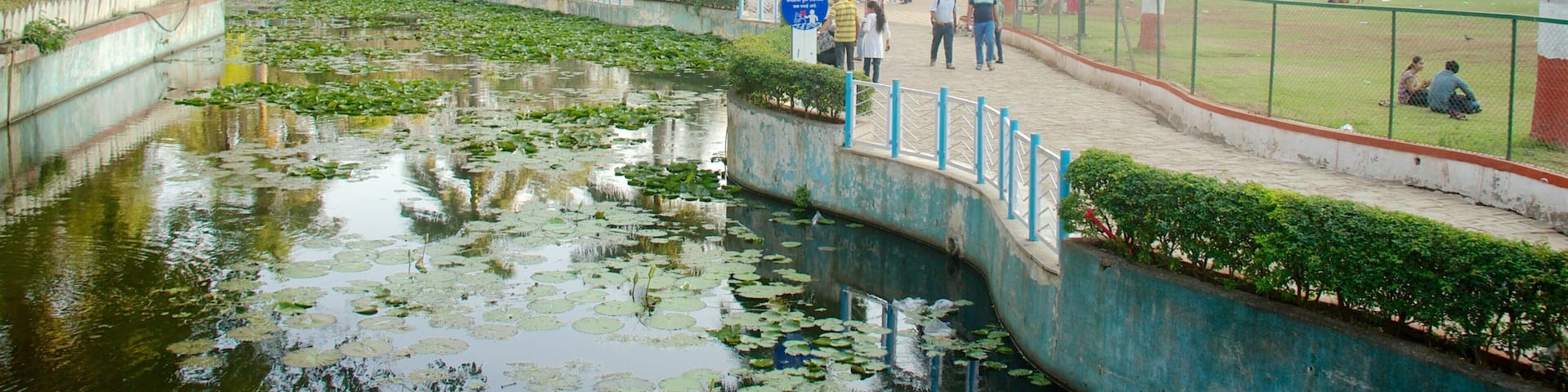 Saras Baug which includes a garden and a pond