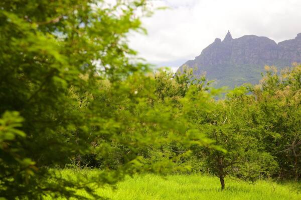 Pieter Both Mountain mettant en vedette scĂšnes tranquilles